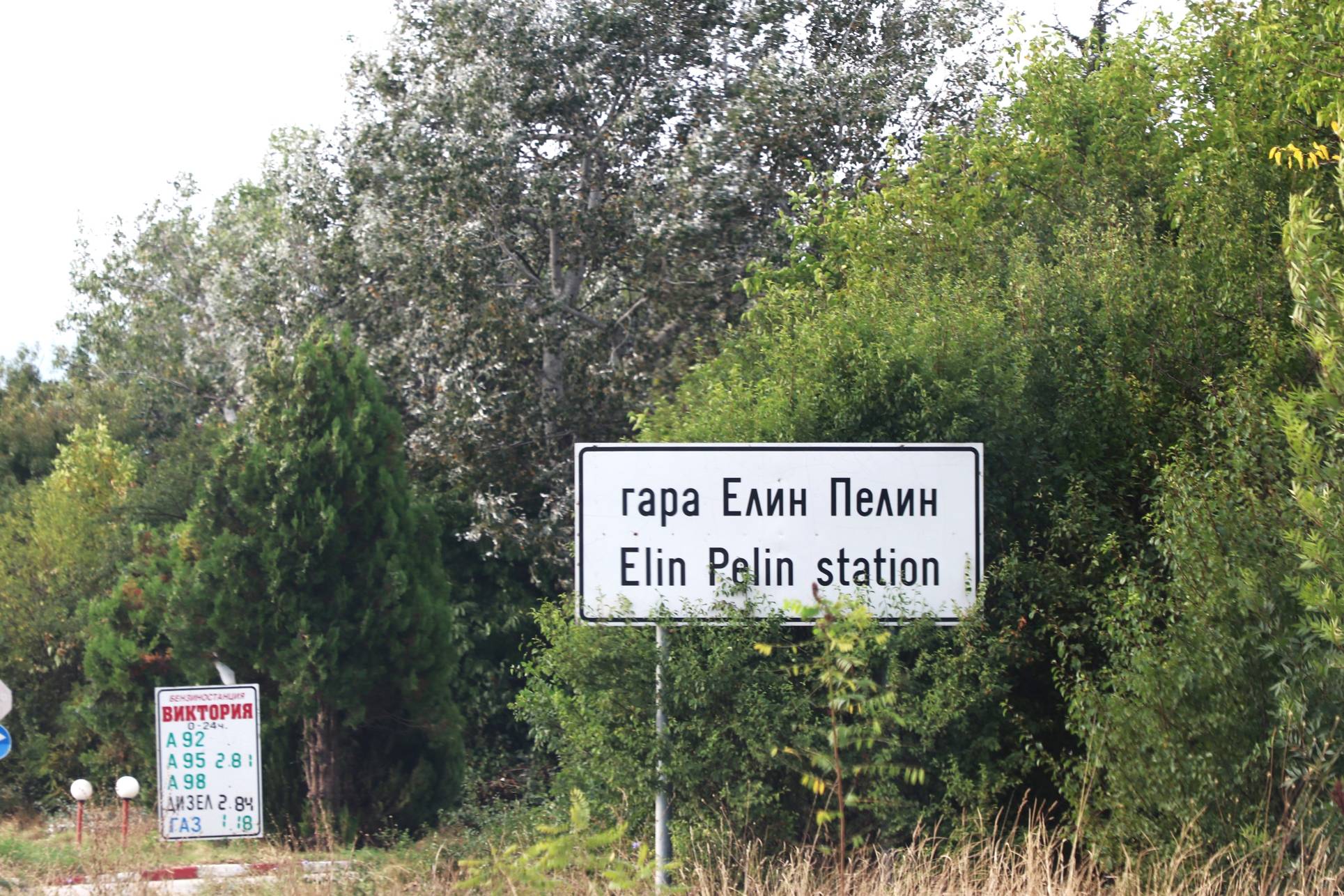  Гара Елин Пелин 